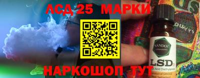 гашик Кандалакша