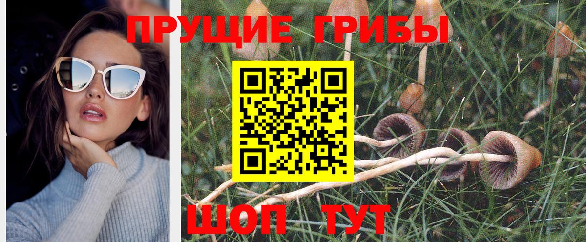 Лянтор  Галлюциногенные грибы мухоморы  Вход с VPN 